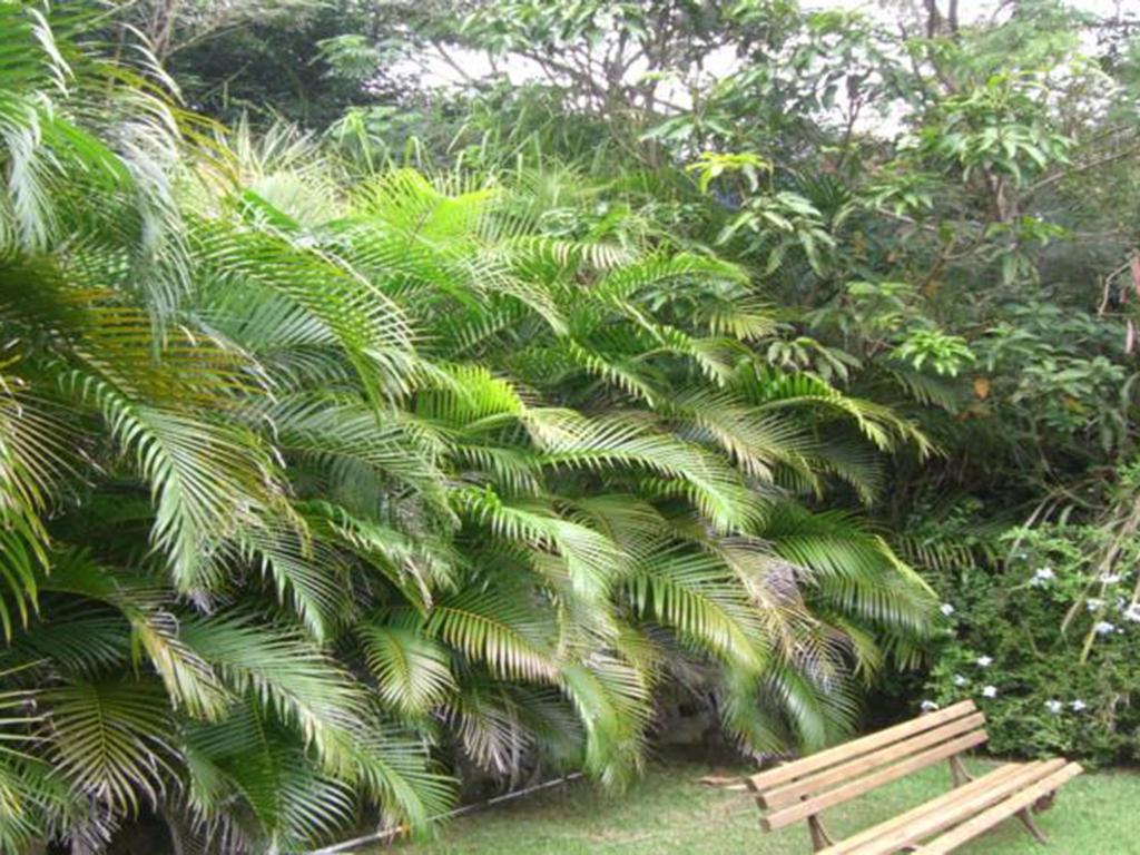 Htl Telhado Verde Búzios Εξωτερικό φωτογραφία